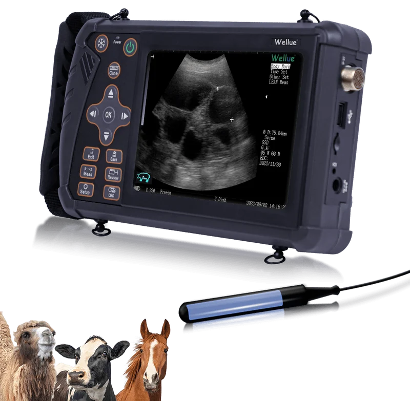 Ultrasonido veterinario portátil