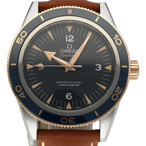Omega - Seamaster 300 watch in titanium