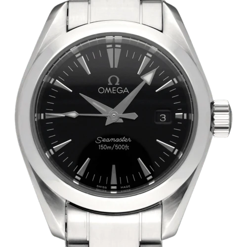 Omega Seamaster Aqua Terra - Steel watch