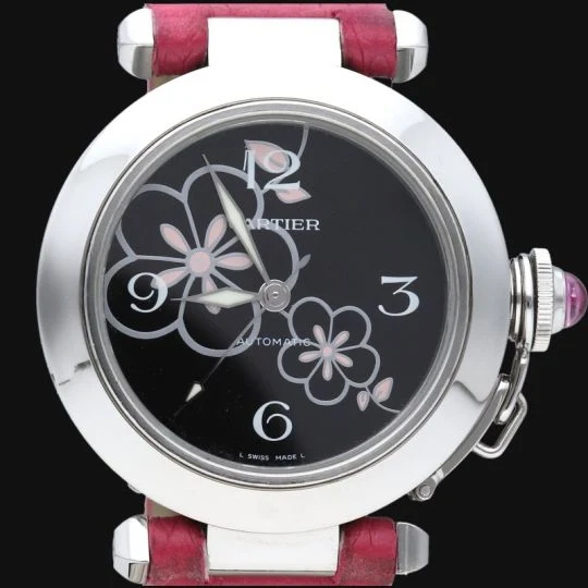 Cartier Watch Pasha C