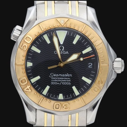 Omega Seamaster Professional 300M Watch