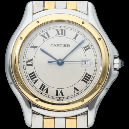 Cartier Panthere Watch Cougar