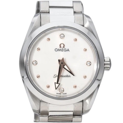Omega Seamaster Aqua Terra - Steel watch